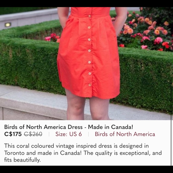 Birds of North America Dress - Made in Canada - Picture 4 of 4
